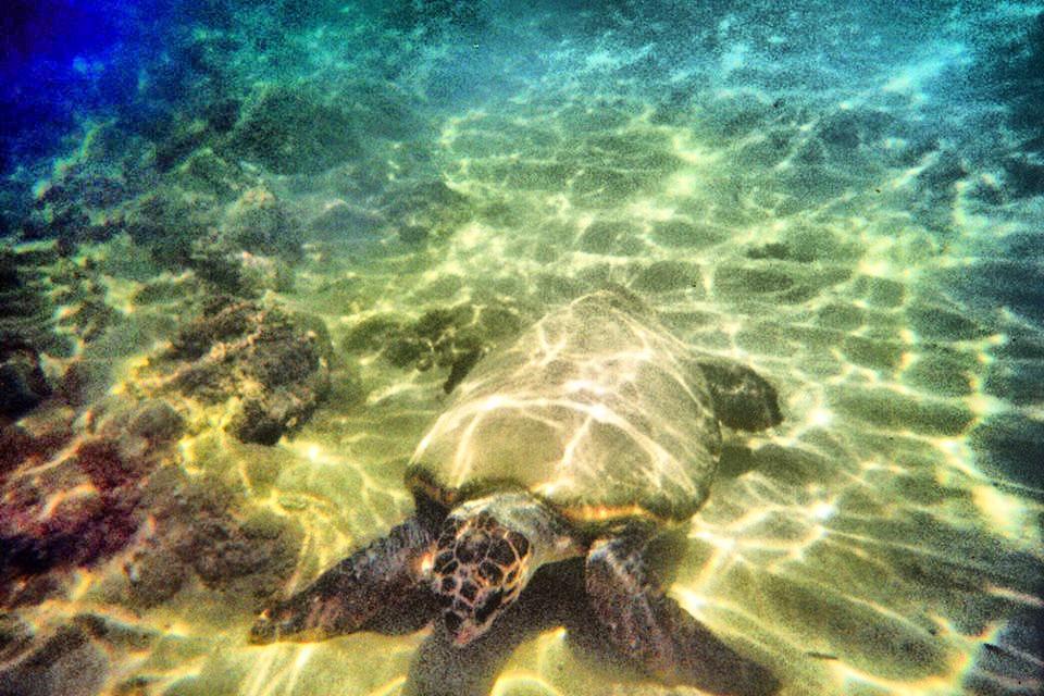 Alkionis Beach Stavromenos ภายนอก รูปภาพ